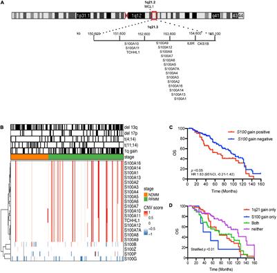 S100 Calcium Binding Protein Family Members Associate With Poor Patient Outcome and Response to Proteasome Inhibition in Multiple Myeloma